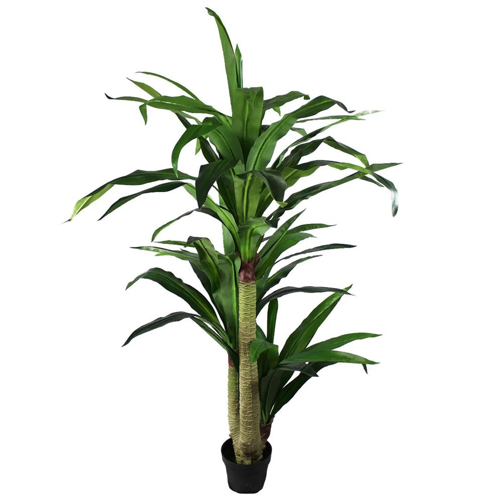 Drachenbaum Kunstpflanze