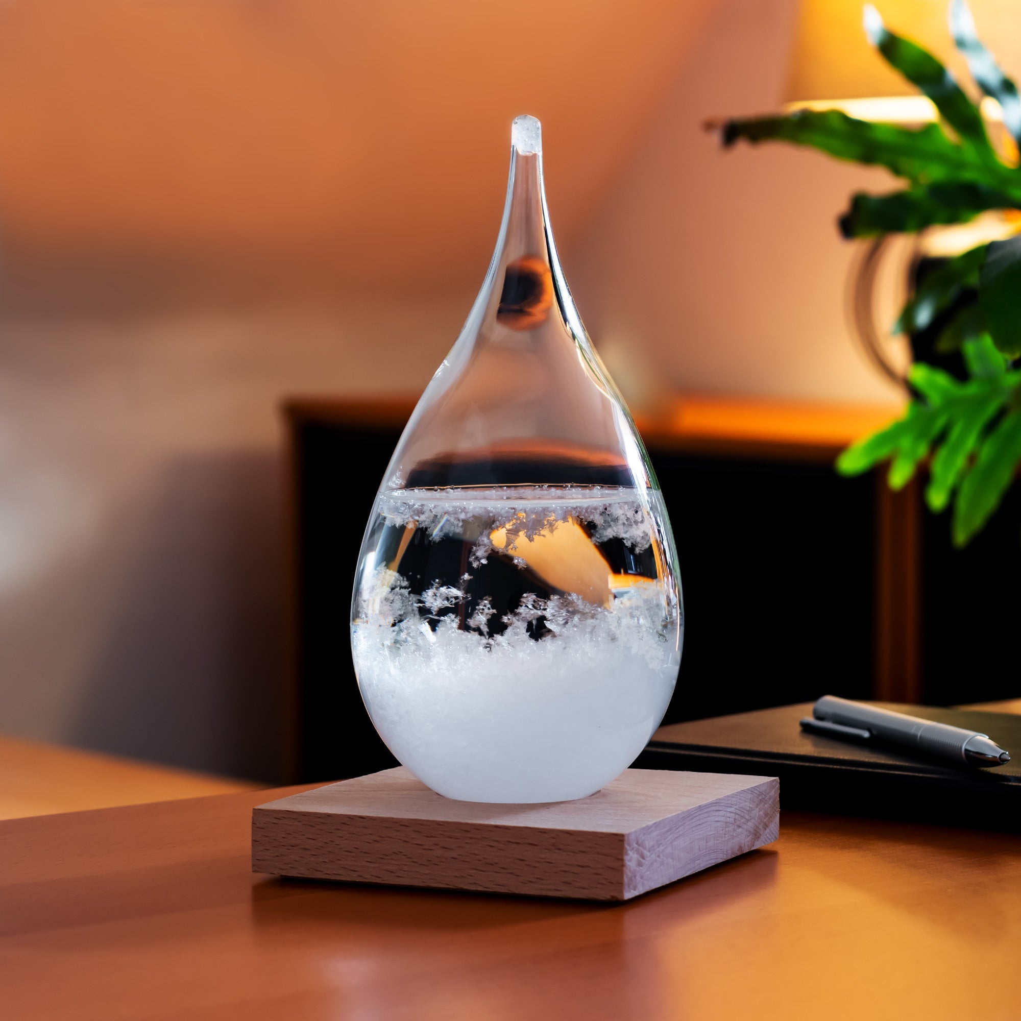 Sturmglas Wetterstation