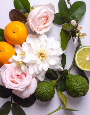 Frühlingsblumen, Limette, Orange