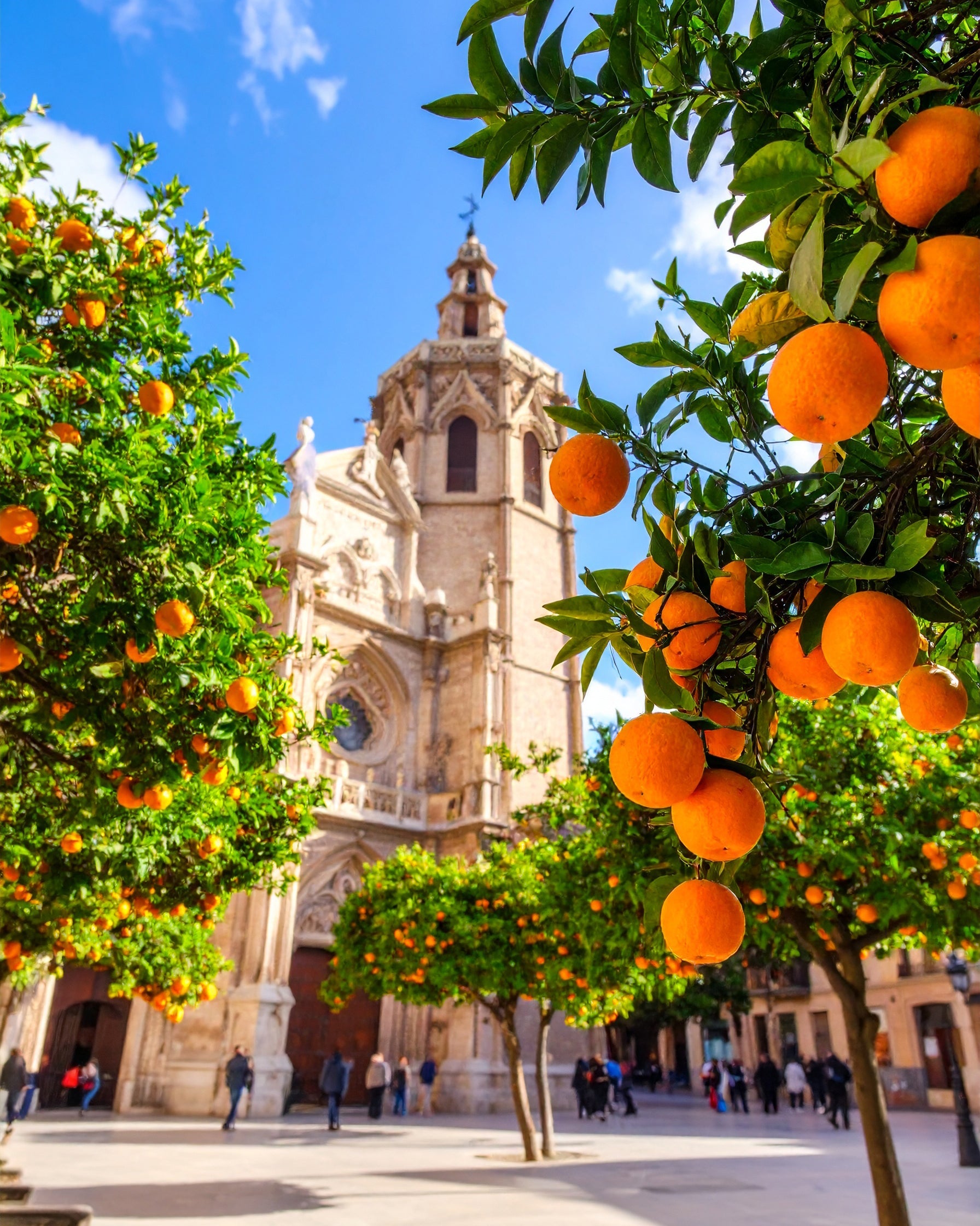 BY VELCHEVA Raumduft Spray - Valencia