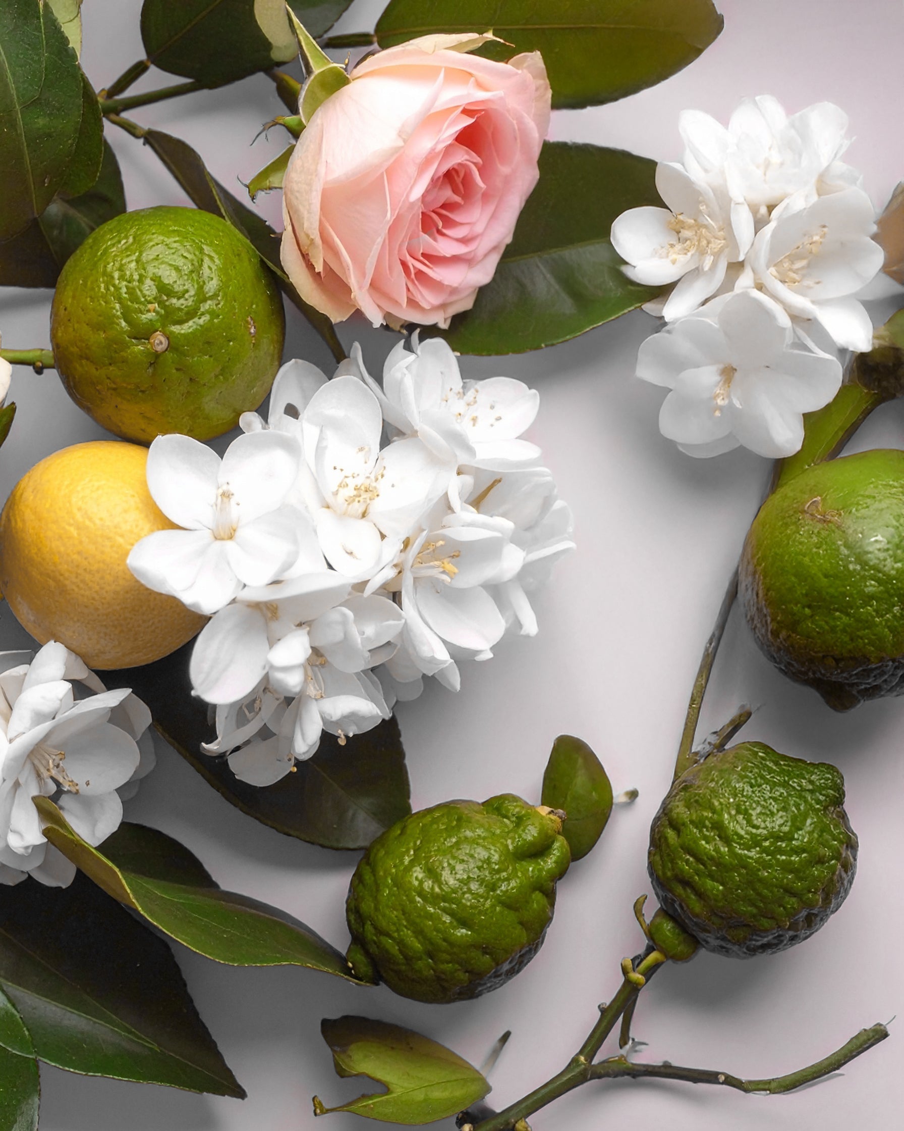 BY VELCHEVA Duftkerze - Carolina