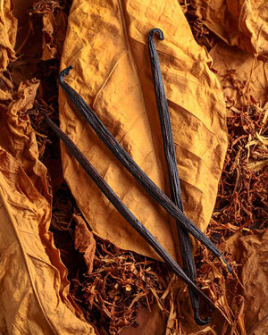TOBACCO VANILLA