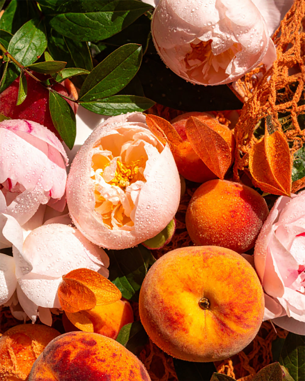 Duft von saftiger Bergamotte und Litschi