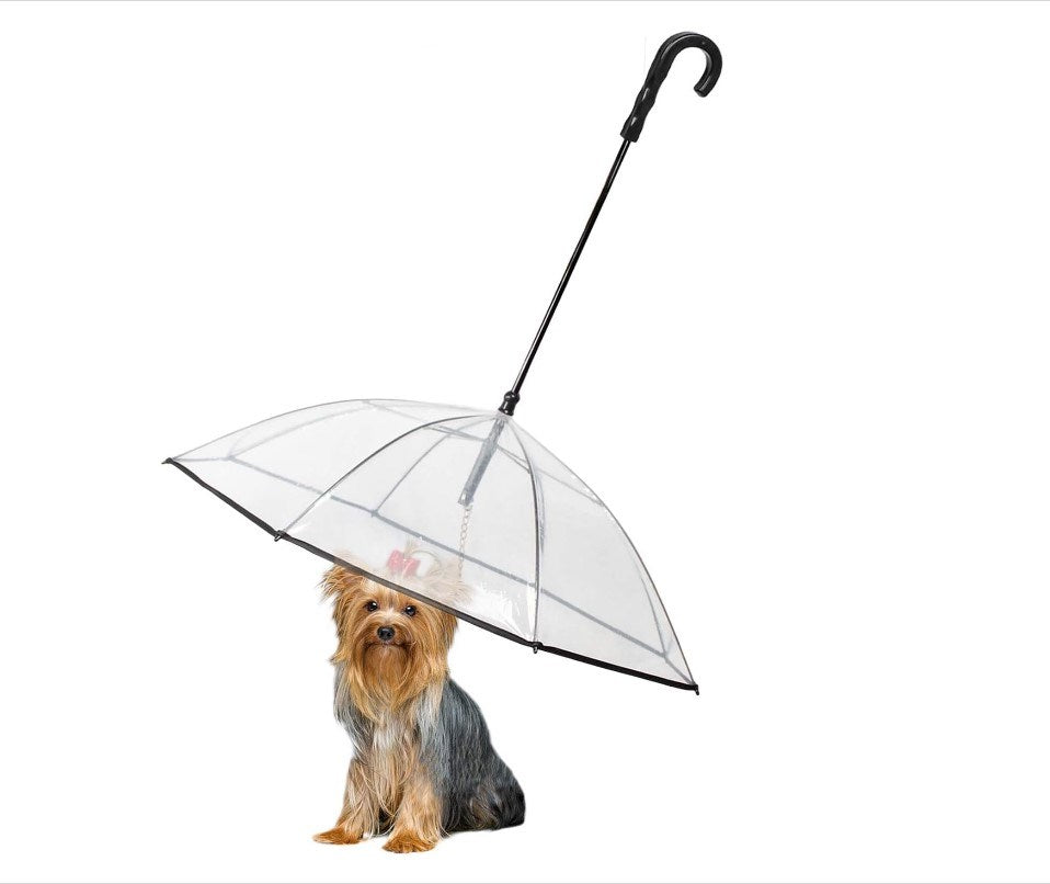 Hundeschirm mit Leine
