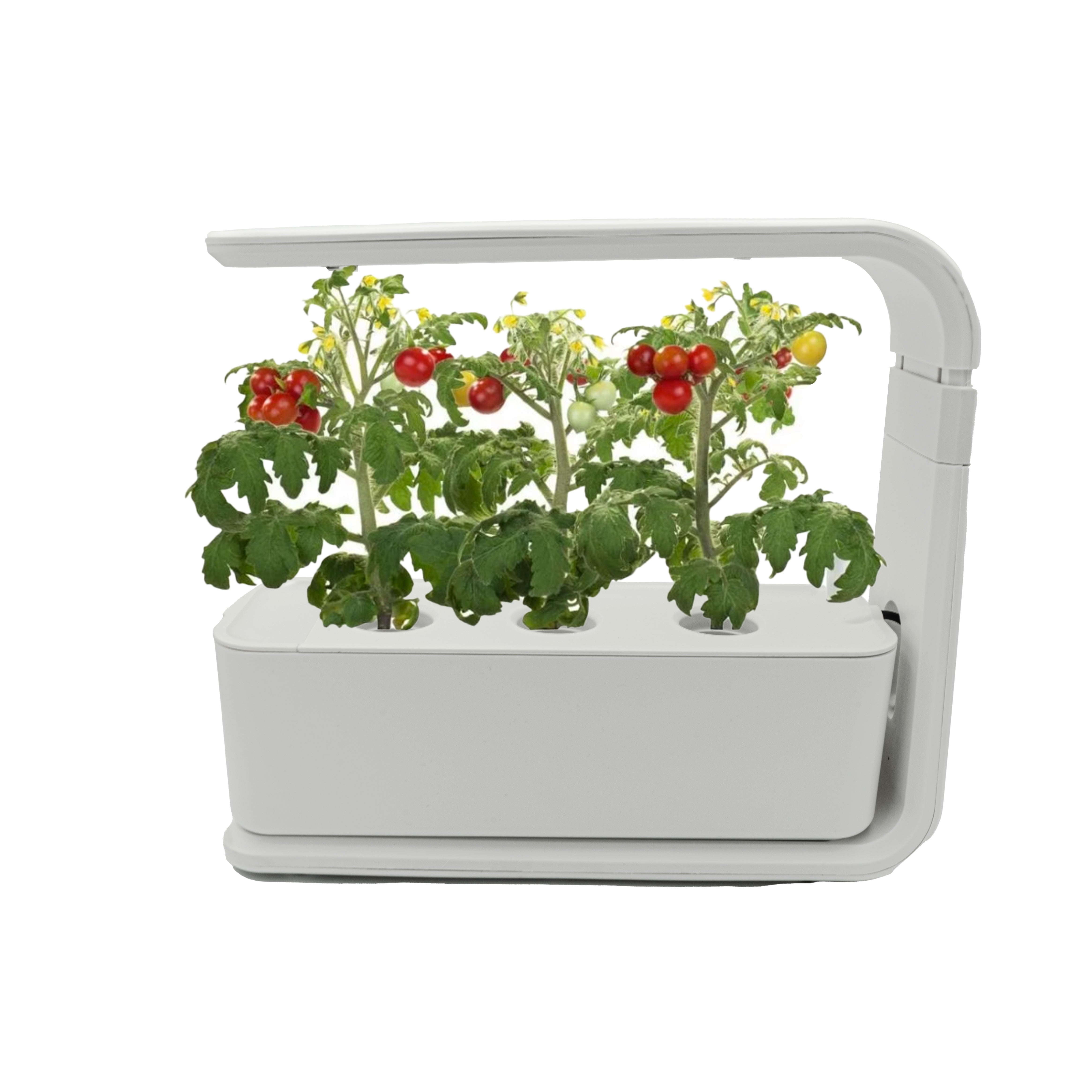 Indoor Smart Garden