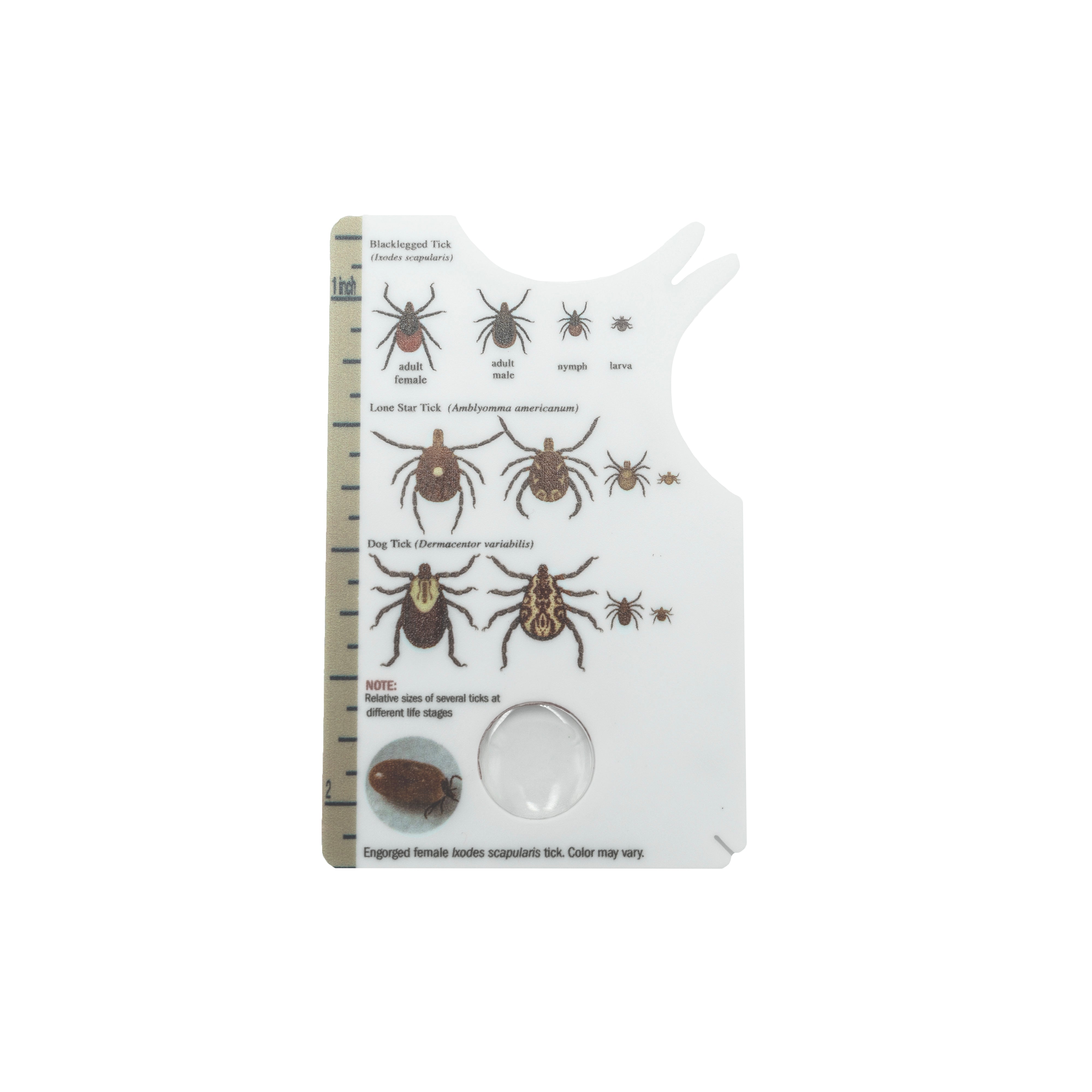 Zeckenkarte mit Symbolen